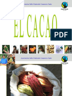 2011 Cacao Basico Web