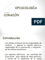 02 Electrofisiologia Del Corazón