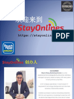 StayOnlines 市场计划