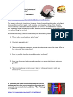 U4 L3 TheRewardPathPathologyofAddictionMouseParty Student Worksheet
