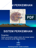 sistem perkemihan