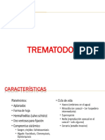 25 Trematodos, Fasciola