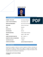 Curriculum Vitae (Alex Guasace)