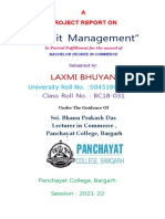 Laxmi Priya - Credit Management