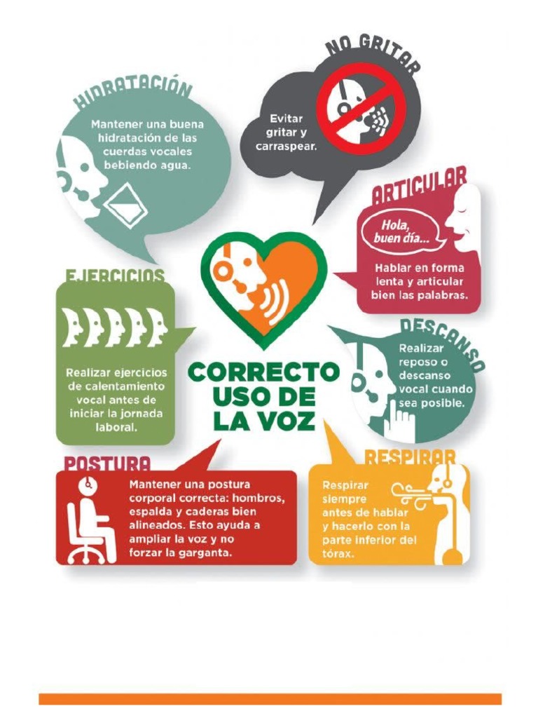 Uso Correcto de La Voz Flayer | PDF