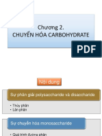 C2 Chuyển Hoá Carbohydrate
