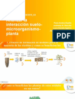 Anilizar La Interacción Suelo-Microorganismo-Planta