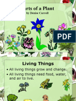 Parts of A Plant - PowerPoint