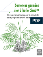 Livret-de-recommandations-prépépinière-et-pépinière-semences-germées-palmier-CIRAD