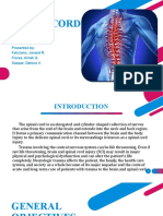 Spinal Cord Injury: Presented By: Feliciano, Jenard R. Flores, Arliah Q. Gaspar, Danica V