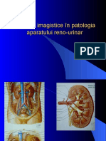 Aspecte Imagistice În Patologia Aparatului Reno-urinar - Curs.renal