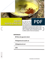 Caldo sulfocal