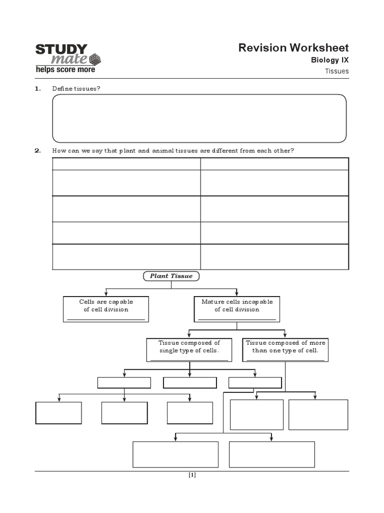 Class 9 Plant and Animal Tissues Worksheet | PDF | Tissue (Biology ...