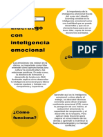 Figueroa Daniela Infografia