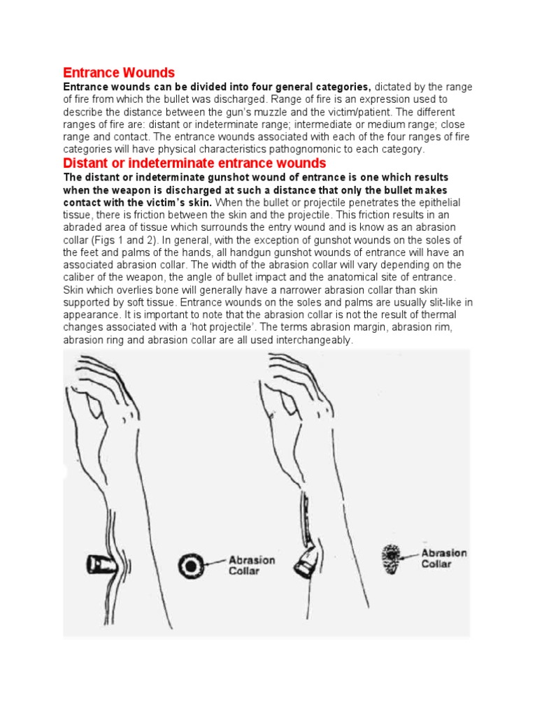 Entrance Wounds PDF