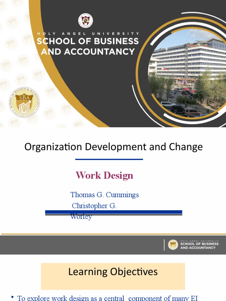 Work Design Strategies for Organizations | PDF | System | Design