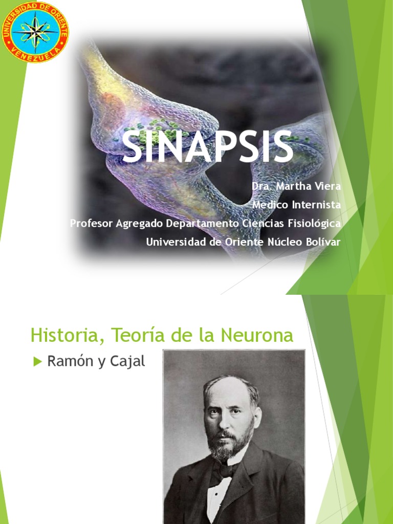 Tipos y Funciones de la Sinapsis | PDF | Sinapsis | Sinapsis química