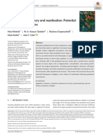 Peripheral Nerve Injury and Myelination: Potential Therapeutic Strategies