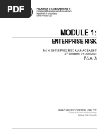 Module 1 - Enterprise Risk