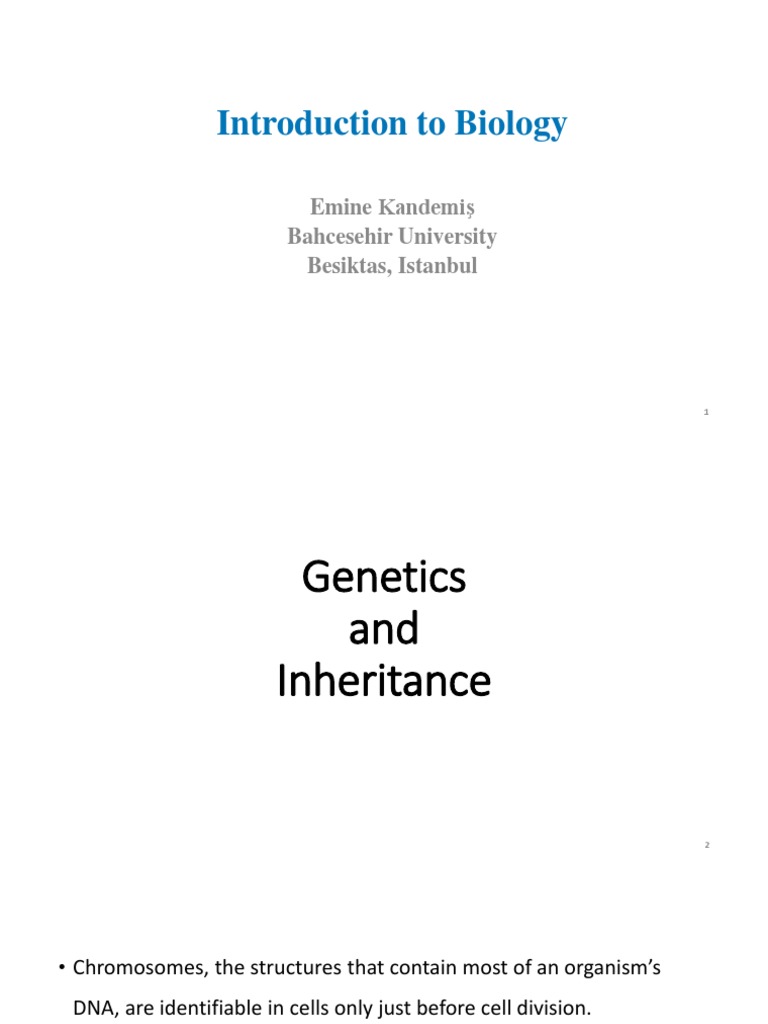 Genetics and Blood Type Inheritance | PDF | Dominance (Genetics) | Allele
