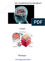 Inflammatory Conditions of The Brain