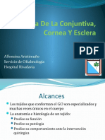 Anatomia de La Conjuntiva, Cornea Y Esclera (Alfon)