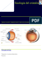 Anatomía y fisiología del cristalino