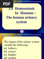 Biology Form 5 - The Human Urinary System