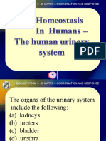 Biology Form 5 - The Human Urinary System