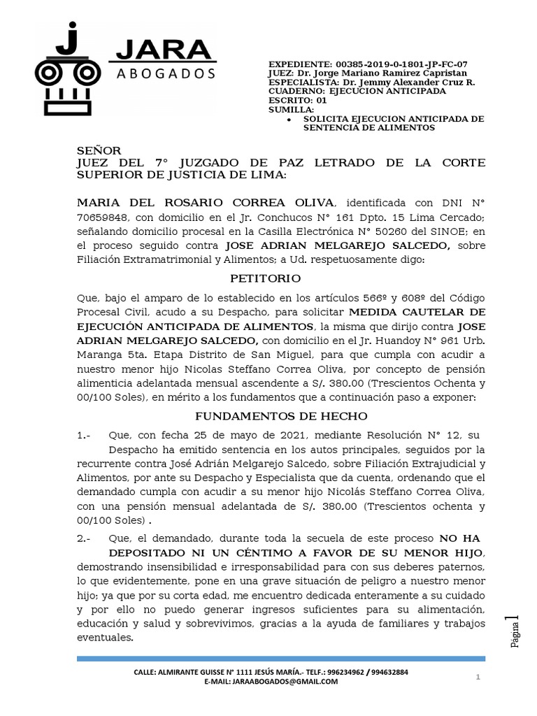 Solicita Ejecucion Anticipada de Sentencia de Alimentos PDF Mandato