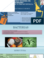 Bacterias y Mohos Unido