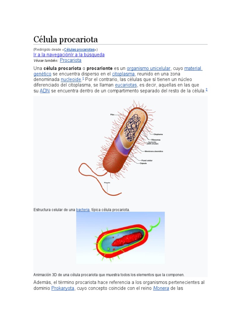 Introducción a Células Procariotas | PDF | Procariota | Las bacterias