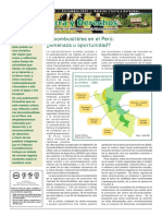 Biocombustibles en El Perú-Amenaza U Oportunidad