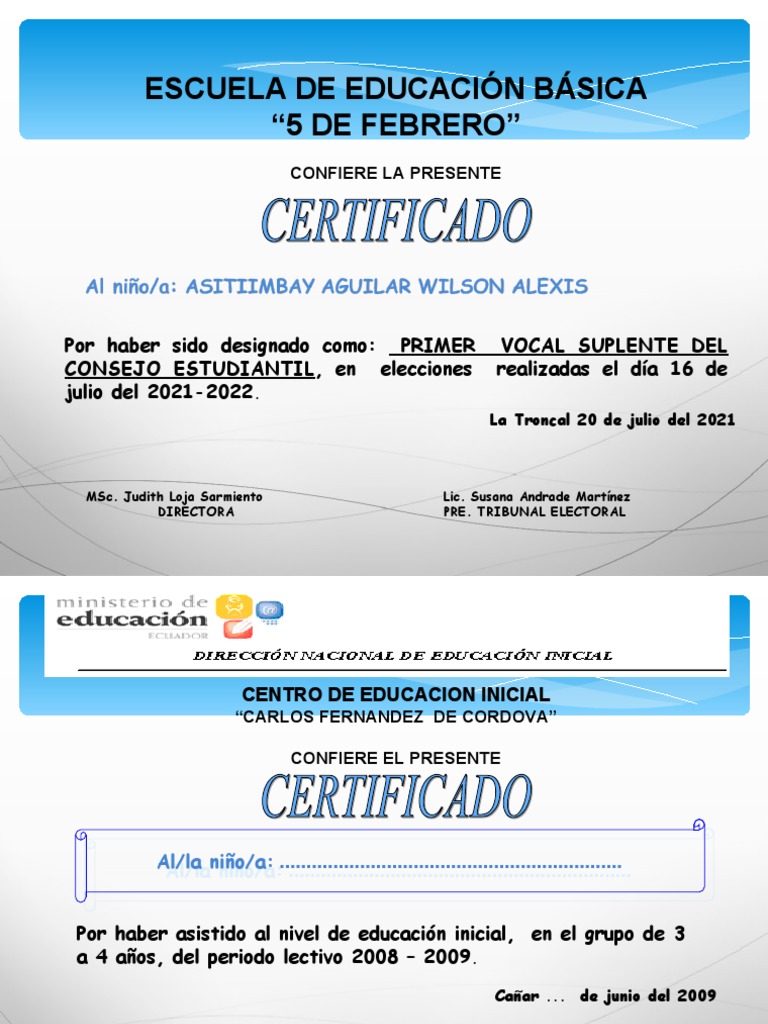 Primer Vocal Suplente PDF