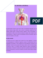 GRUPO 4-Funciones Del Sistema Arterial, Venoso, Linfatico, Hemodinamia, Presión, Flujo y Resistencia - WORD.