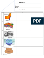 Portofolio 1 - 11 IPA - 23 Juli