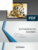 17 Euthanasia (2)
