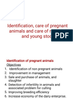 Identification, Care of Prgnant Animals and Care of Neonatal and Young Stock
