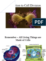 Cell Cycle & Division - Week 4