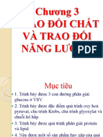 Chương 3