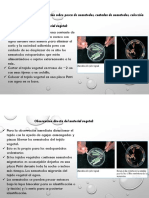 S7P Pesca, Conteo y Coleccion de Nematodos