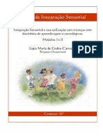 Curso Integração Sensorial nos Distúrbios de Aprendizagem