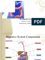 The Digestive System: Student's Name Institutional Affiliation