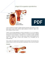 Anatomía y fisiología de los aparatos reproductores
