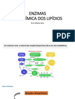 enzima e lipideos  