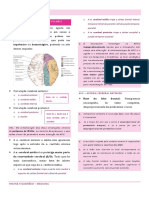 Grandes Síndromes Vasculares - Semiologia Neurológica