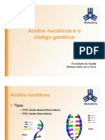 Ácidos Nucléicos PDF