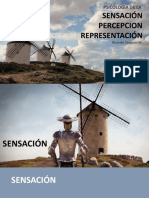 Sensacion Percepcion Representacion