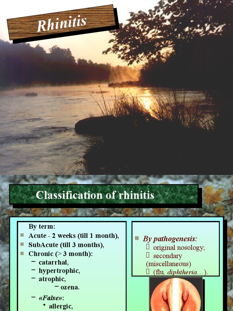 Classification and Treatment of Rhinitis | PDF | Allergy | Medicine