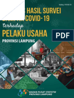 Analisis Hasil Survei Dampak COVID-19 Terhadap Pelaku Usaha Provinsi Lampung